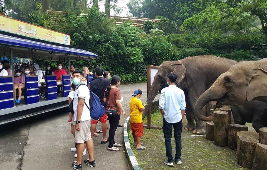 Isi Ngabuburit Taman Safari Bogor Siapkan Pertunjukan Aladdin Jasmine