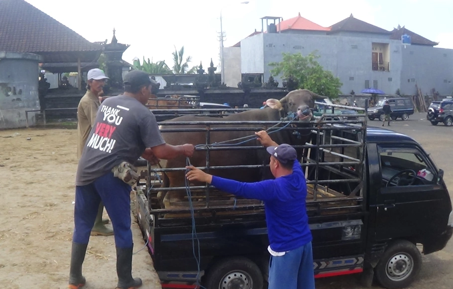 Pasar hewan Bringkit di Kabupaten Badung Bali