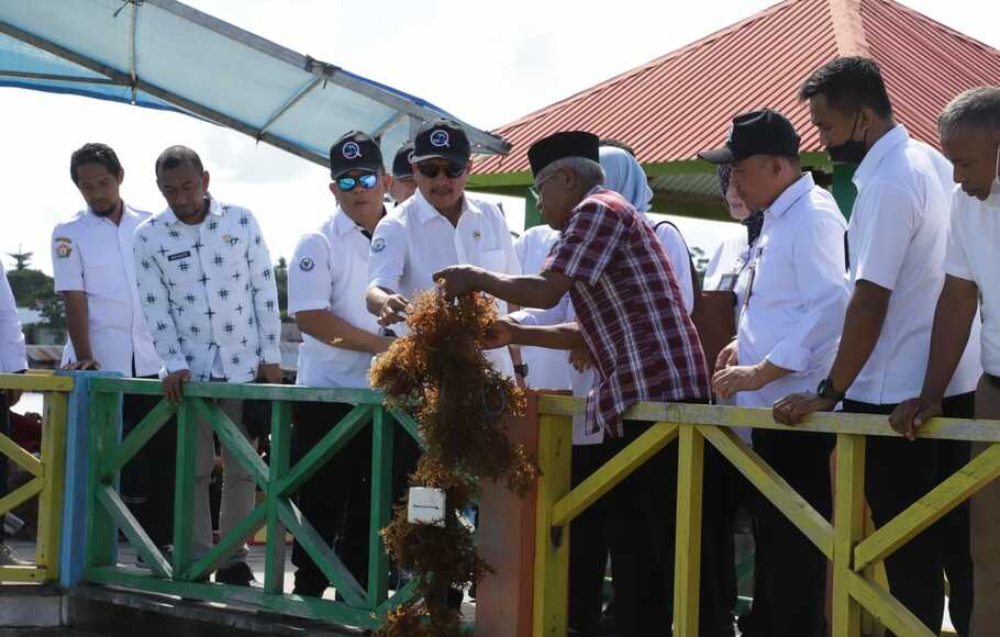 Hari Laut Sedunia, Menteri Trenggono Dorong Produksi Rumput Laut Wakatobi