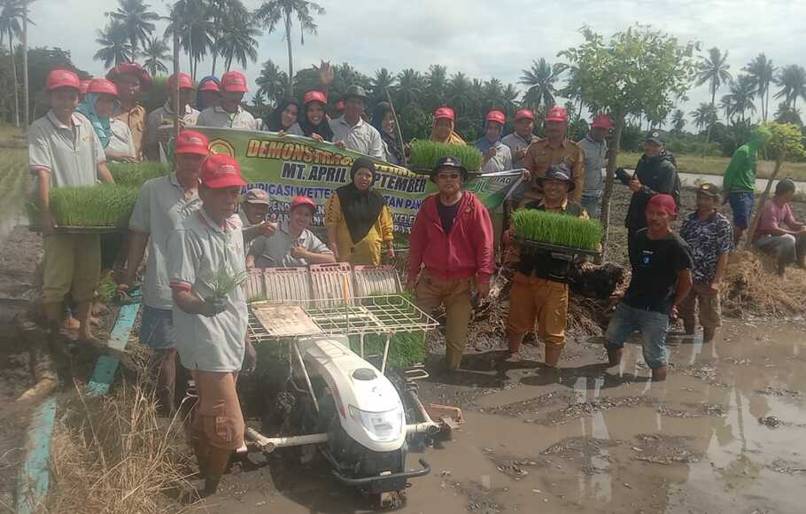 Kementerian Pertanian Dorong Pemanfaatan Transplanter