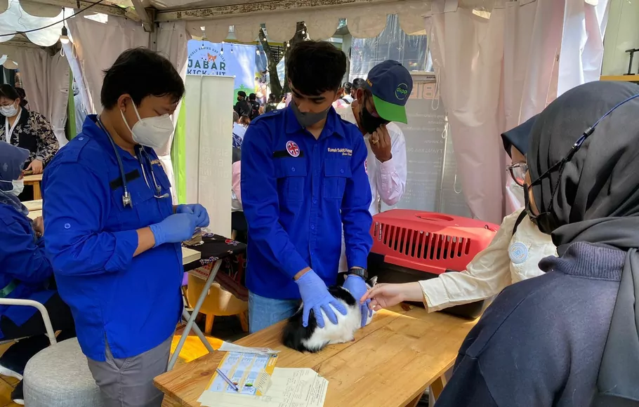 Royal Canin Indonesia dan Zoetis Indonesia Mendukung Program “Rabies: One Health, Zero Death” dengan Donasi 10.000 Dosis Vaksin Rabies dan Webinar Edukasi .