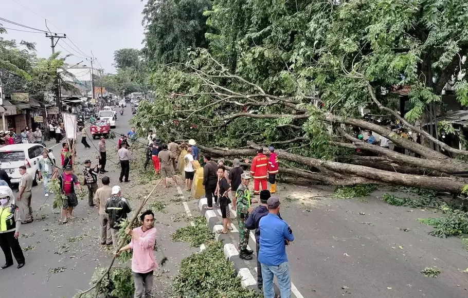 Pohon besar tumbang di ruas jalan HOS Cokroaminoto di Kecamatan Larangan Kota Tangerang, Banten.