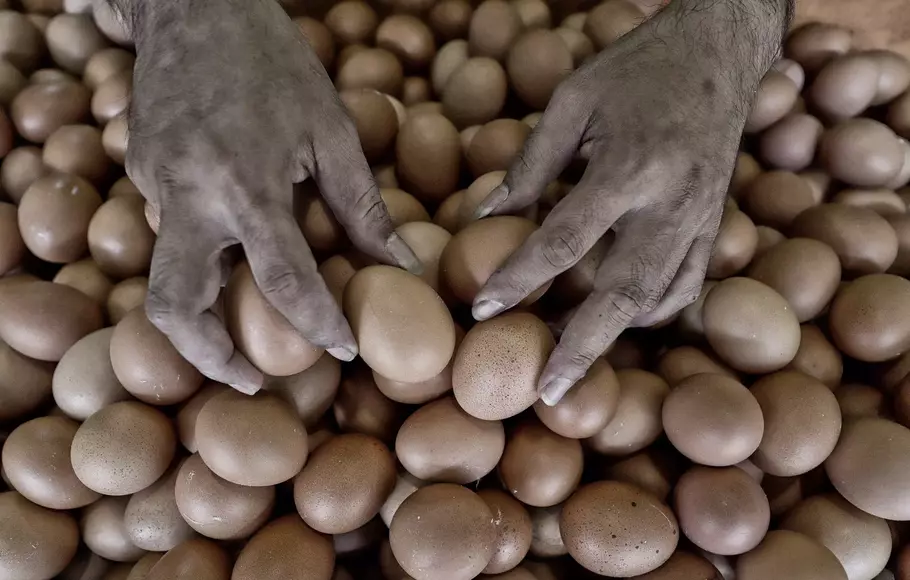 Pedagang menunjukan telur ayam yang dijual di sebuah agen di Jakarta Timur, Selasa 23 Mei 2023. Harga telur ayam negeri masih terpantau tinggi di Jakarta. Di kawasan Jabodetabek kini harga telur di kisaran Rp 30.500-34.000/kg dan di Indonesia Timur mencapai Rp 38.000 sampai Rp 40.000/kg.
