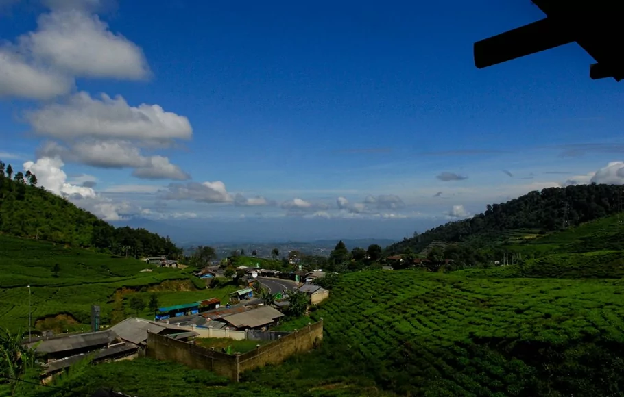 Ribuan Pengunjung Padati Tempat Wisata Di Puncak-Cipanas