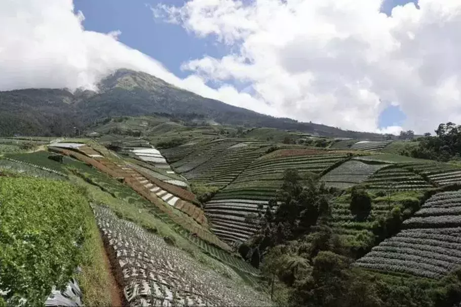 Kawasan Gunung Sumbing di Desa Sukomakmur, Kecamatan Kajoran, Kabupaten Magelang, Provinsi Jawa Tengah. - (Instagram/@Prabowo)