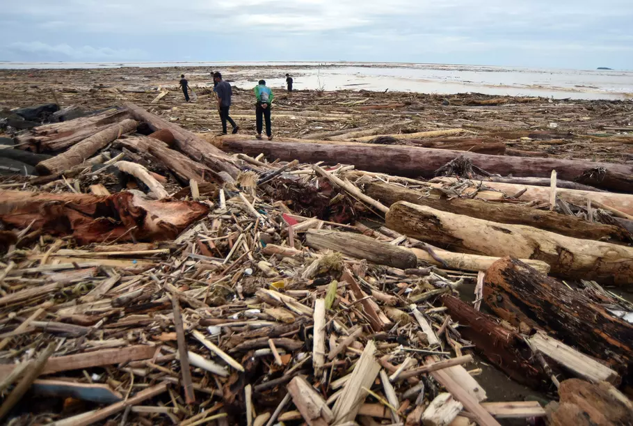 Warga berjalan di antara potongan kayu gelondongan yang bertumpuk di pantai Air Tawar, Padang, Sumatera Barat, Jumat, 28 November 2025. - (Antara/Iggoy el Fitra)