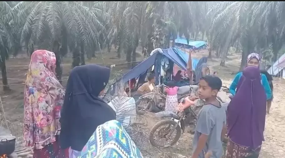 Ribuan korban banjir bandang di Aceh Utara mengungsi sepekan lebih di tenda darurat kawasan kebun sawit. - (Beritasatu.com/Muzakir)