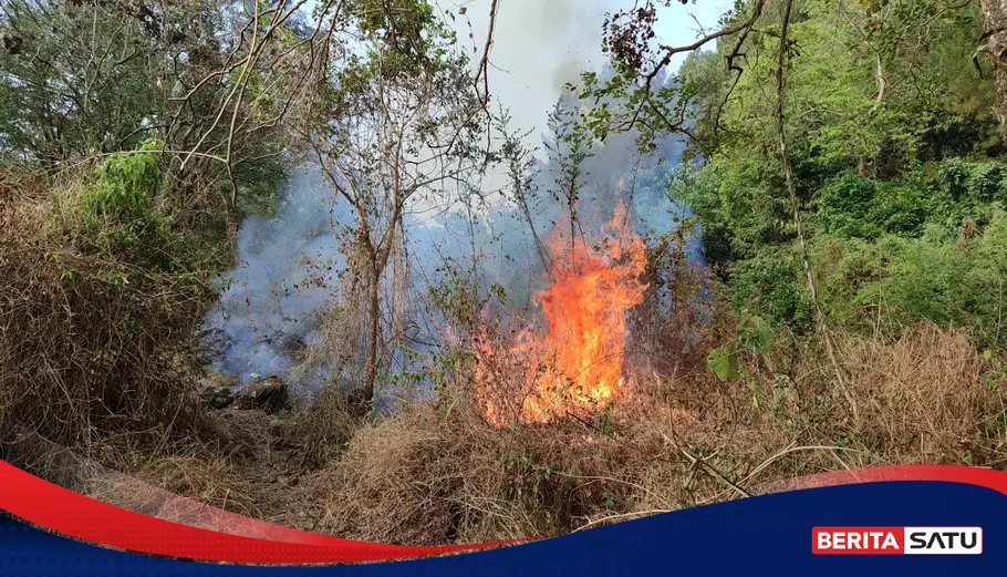 Api Kembali Menyala Di Hutan Gunung Ciremai