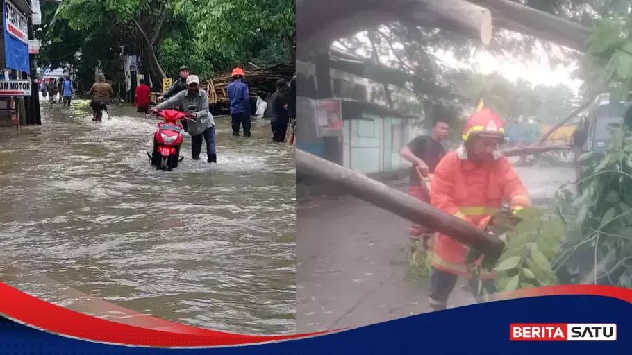 Ini Daftar Lokasi Pohon Tumbang Di Tangerang