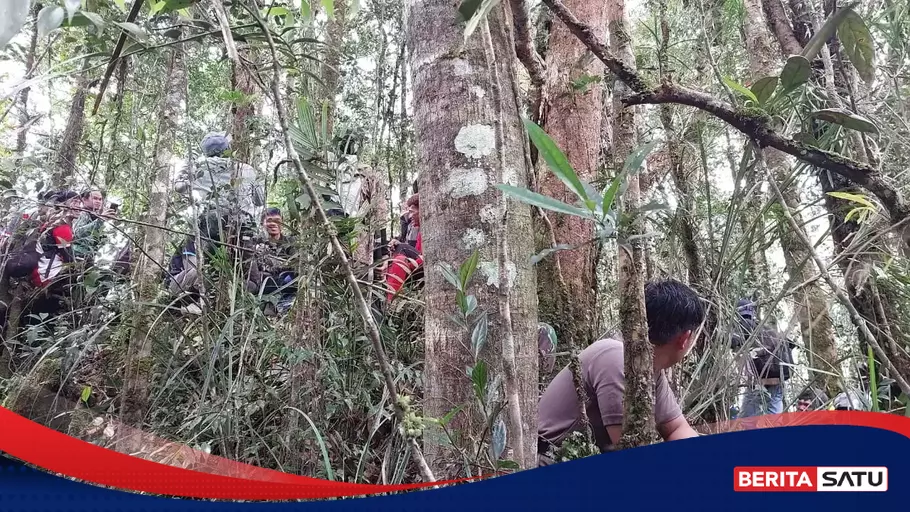 Berita Baik: Pilot yang Tersesat di Hutan Nunukan Akan Dipulangkan ke Bekasi