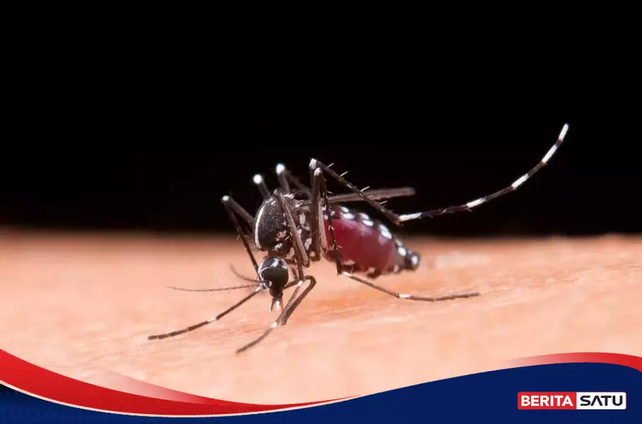 Dinas Kesehatan Kabupaten Lamongan Minta Masyarakat Waspada Penyakit DBD dan Leptospirosis