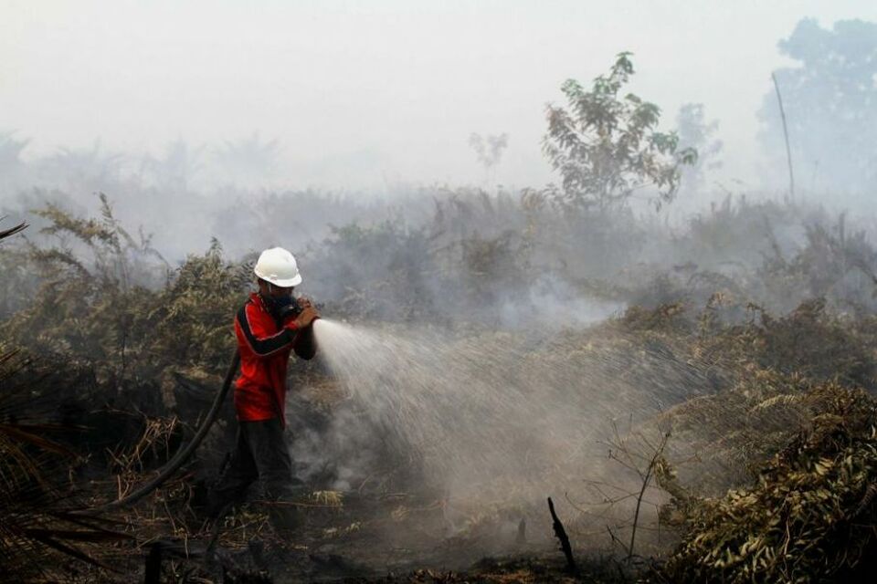 Sumatera Dan Kalimantan Terkepung Titik Api