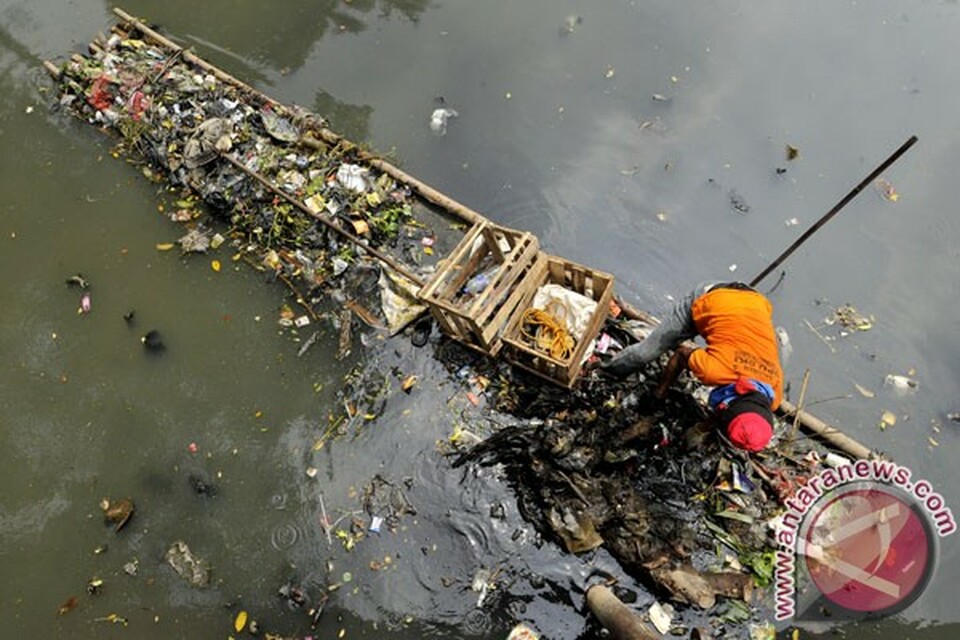 Enam Sungai Di Mukomuko Alami Pencemaran Berat 1912