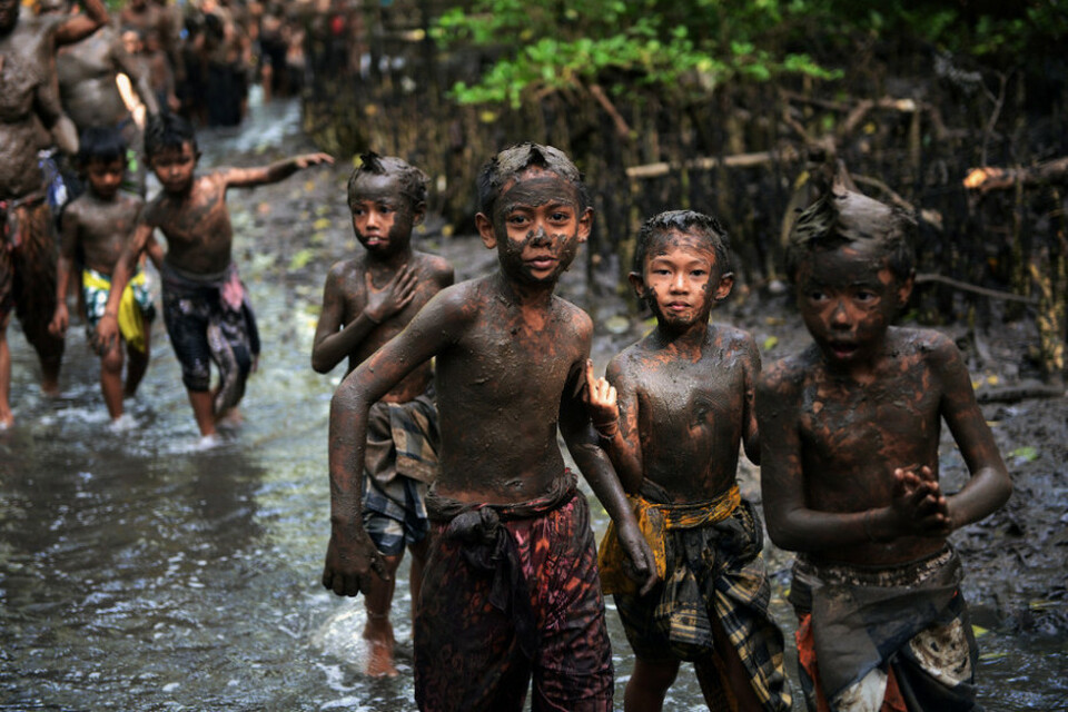 Puluhan anak-anak Bali melumuri tubuhnya dengan lumpur saat melaksanakan tradisi 