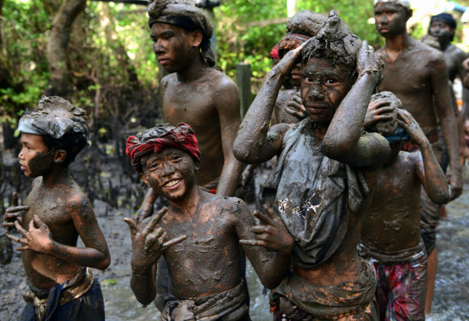 Sejumlah anak-anak dan remaja Bali melumuri tubuhnya dengan lumpur saat melaksanakan tradisi 