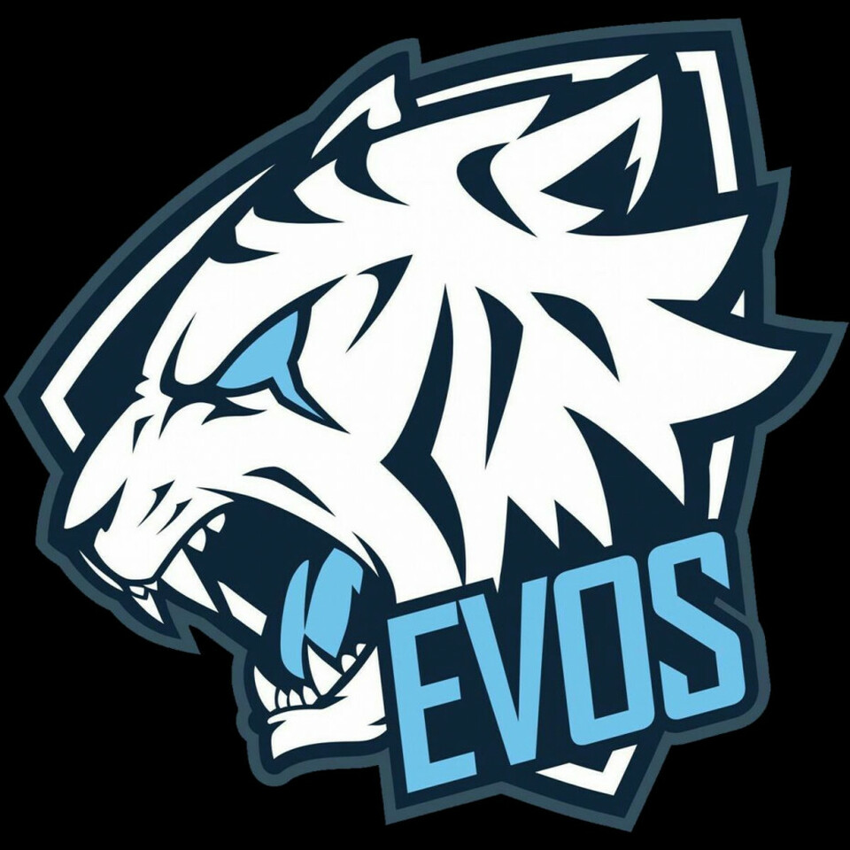 Logo evos store