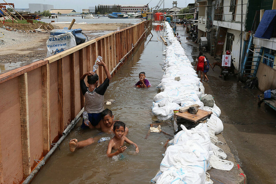 BPBD DKI Waspadai Banjir Rob Di Jakut