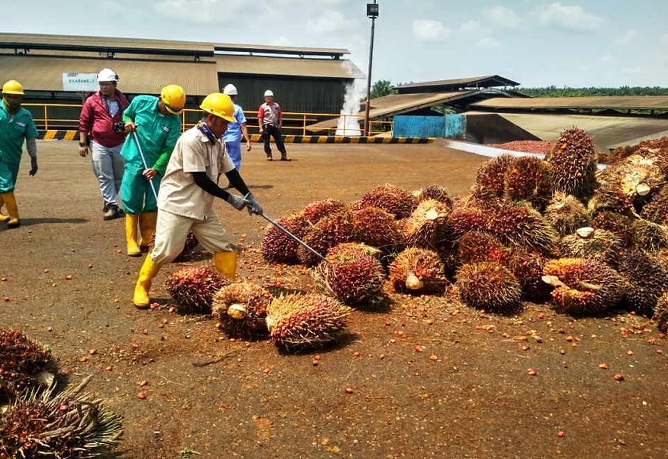 Melihat Praktik Sawit Lestari Sinar Mas Agribusiness And Food