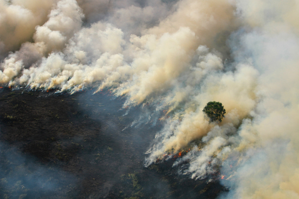 Kebakaran hutan dan lahan.