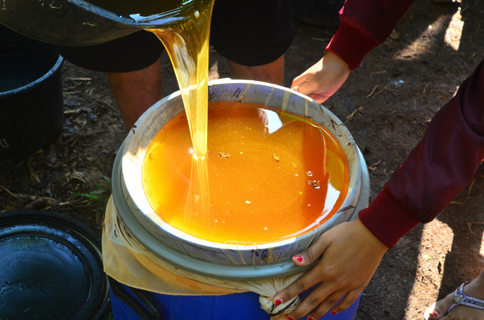 Ilustrasi pembuatan madu .