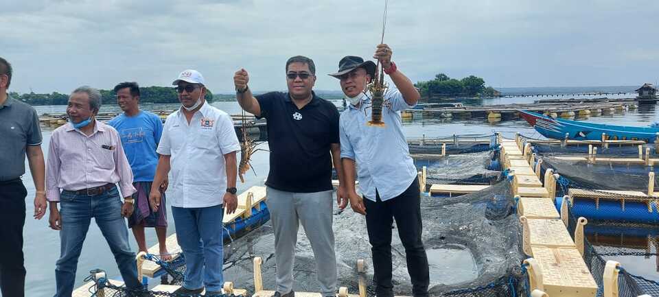 Wakil Ketua Umum Kamar Dagang dan Industri  (Kadin)  Indonesia Bidang Kelautan dan Perikanan, Yugi Prayanto, mengunjungi tempat budi daya lobster di Telong Elong, Nusa Tenggara Barat, Minggu, 11 April 2021.