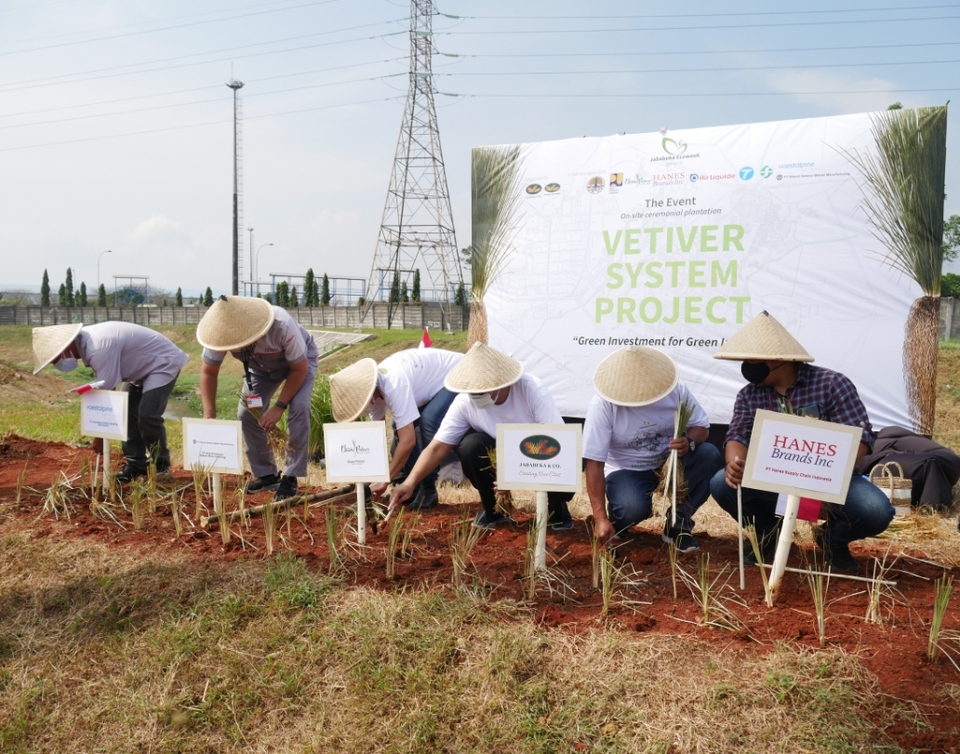 Wujudkan Green Industrial Estate, Jababeka Terapkan Vetiver System