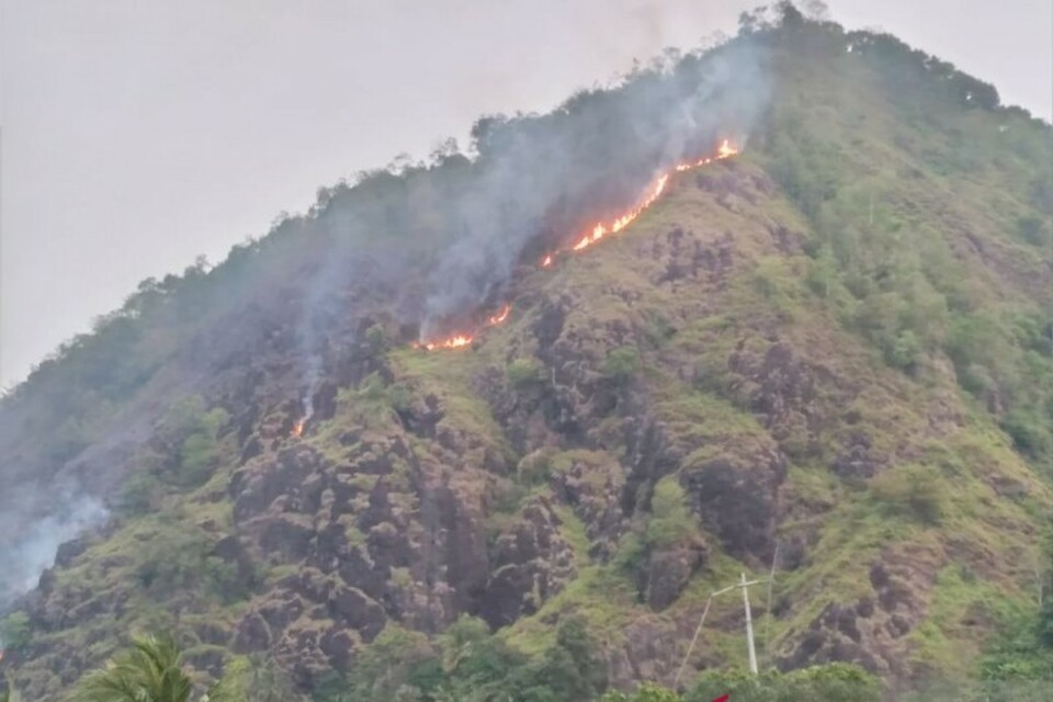 5 Hektare Lahan Di Lereng Gunung Puncak Habibie Terbakar