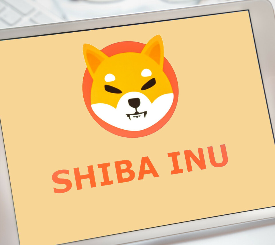 Ilustrasi koin Shiba Inu atau Shiba token.
