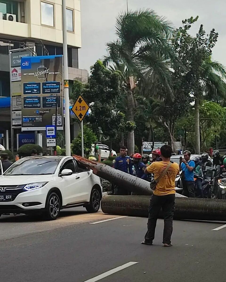 Tertimpa Pohon Pengendara Motor Di Pondok Indah Tewas 9246