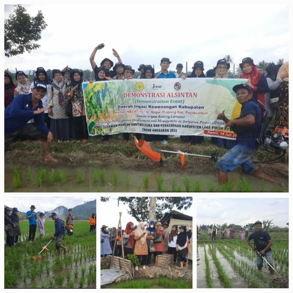 Tingkatkan Produksi, Kementan Ajak Petani Manfaatkan Alsintan