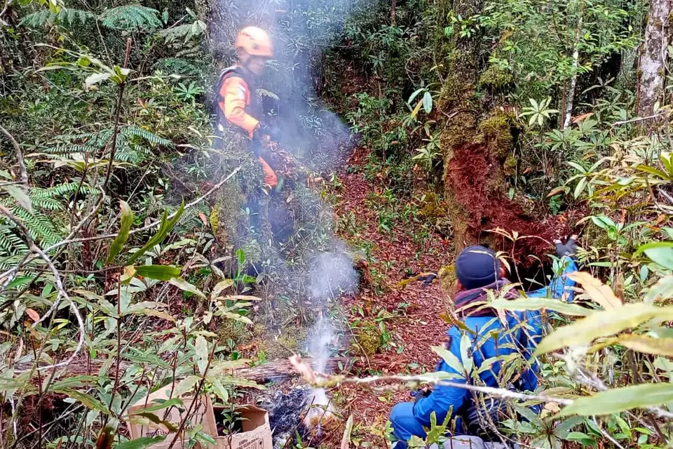 Tim SAR yang sudah mendarat di lokasi kecelakaan helikopter yang ditumpangi Kapolda Jambi Irjen Pol Rusdi Hartono untuk mengevakuasi korban, Senin 20 Februari 2023.