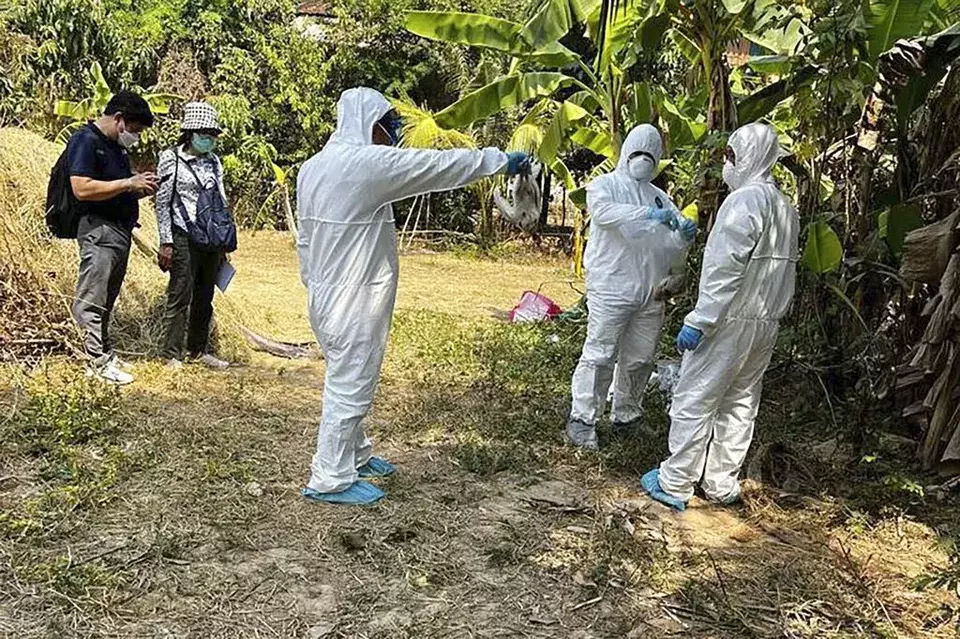 Petugas kesehatan Kamboja menyemprotkan desinfektan di sebuah desa di Prey Veng, provinsi timur Kamboja, 24 Februari 2023.