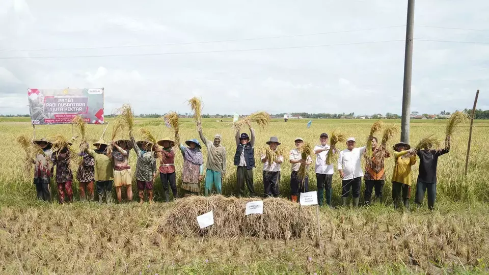 Jajaran Kementerian Pertanian dan para petani ikut kegiatan panen padi Nusantara 1 juta hektare secara serentak di Serang, Banten, Kamis 9 Maret 2023.
