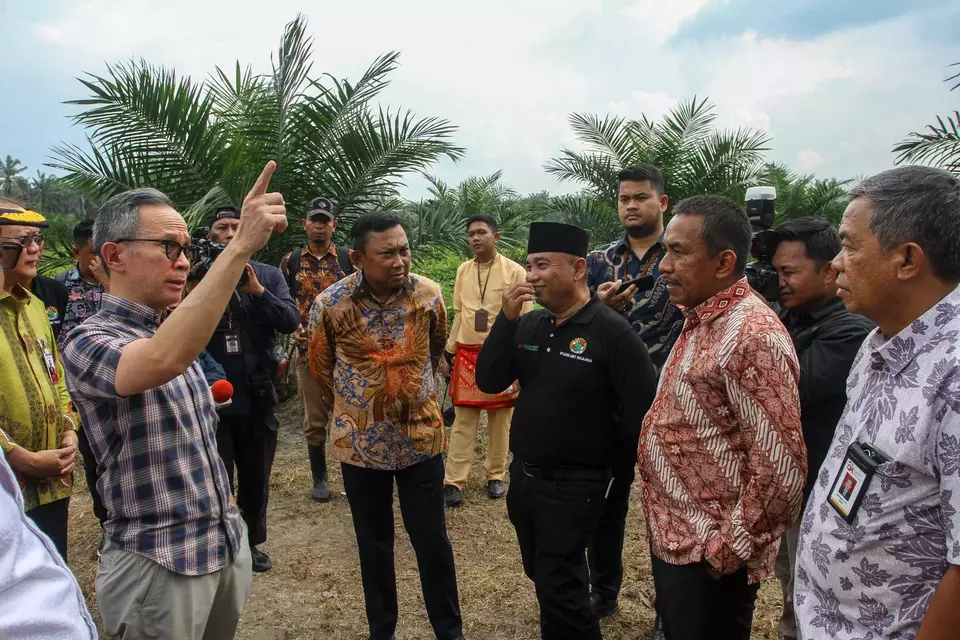 Ketua Dewan Komisioner Otoritas Jasa Keuangan (OJK) Mahendra Siregar (kiri) berdialog dengan kelompok petani kelapa sawit saat berkunjung ke Kebun Gapoktan Sawit di Kabupaten Kampar, Riau, Jumat (17/3/2023).