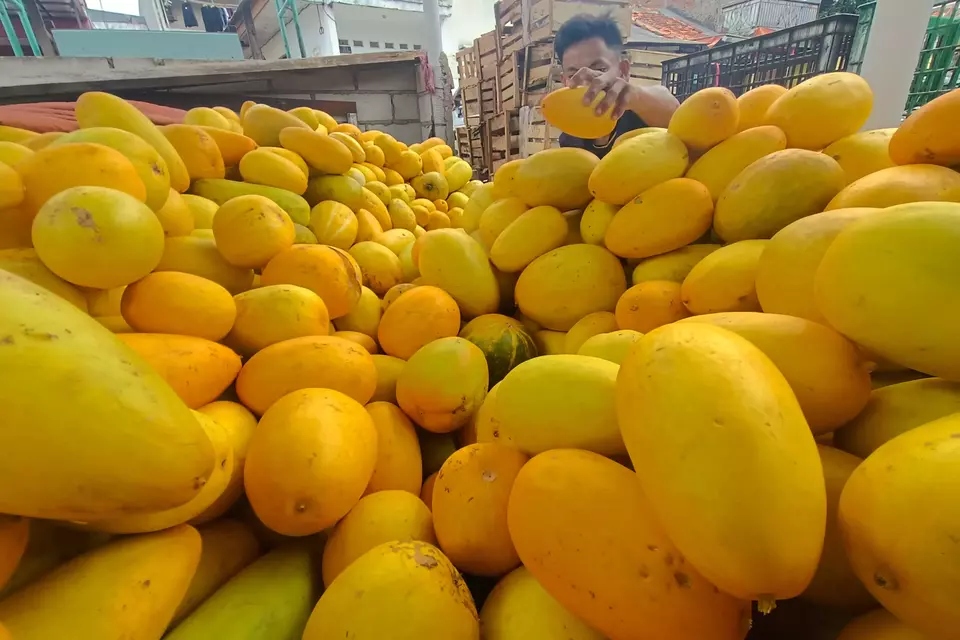 Pedagang merapihkan buah timun suri dagangannya di Kebayoran Lama, Jakarta, Kamis, 23 Maret 2023.