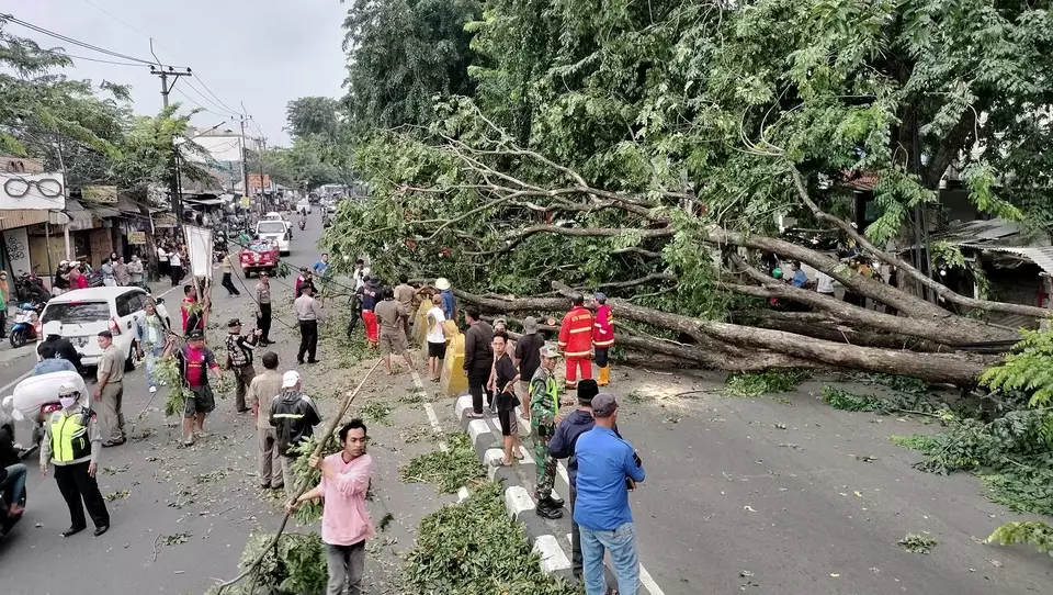 Pohon besar tumbang di ruas jalan HOS Cokroaminoto di Kecamatan Larangan Kota Tangerang, Banten.