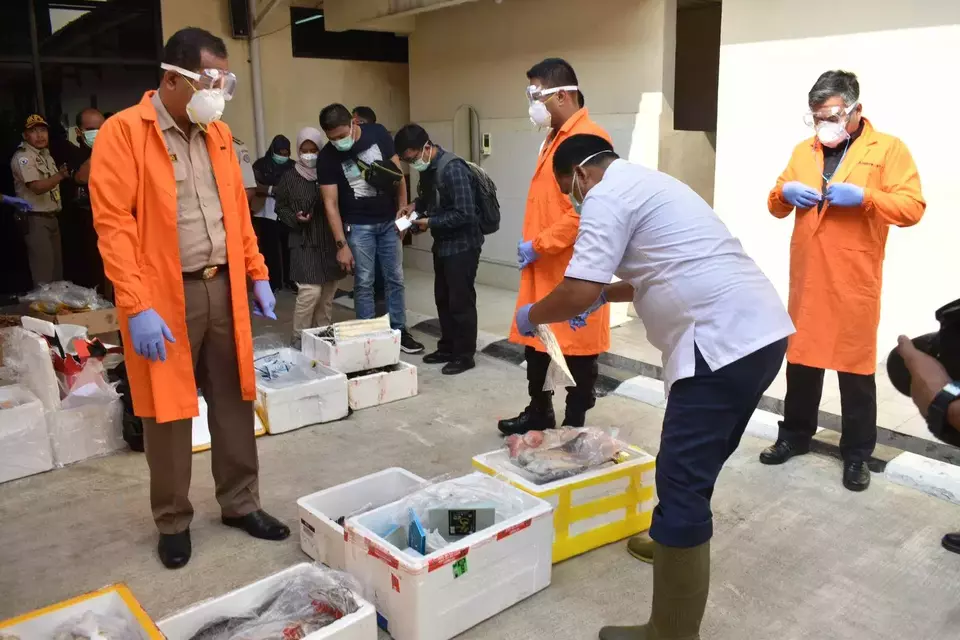 Kementerian Kelautan dan Perikanan (KKP) memusnahkan lebih dari 1.000 ekor ikan koi asal Jepang yang terinfeksi virus carpedema virus disease (CEVD)