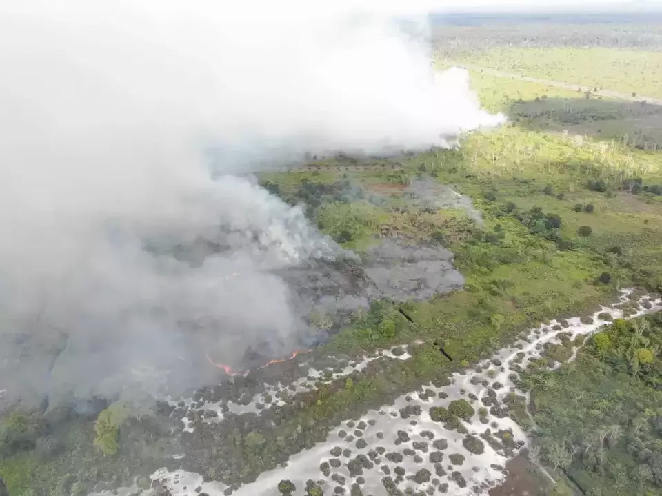 Pantauan udara kebakaran hutan dan lahan atau karhutla di Kabupaten Ketapang, Kalimantan Barat (Kalbar).