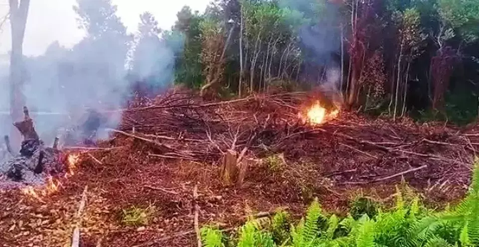 Titik api karhutla di Palangka Raya, Kalteng terus bertambah.