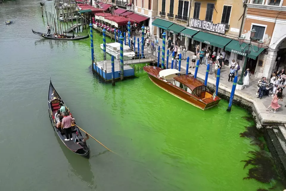 Perahu gondola berlayar di sepanjang Grand Canal Venesia yang berubah warna menjadi hijau terang pada Minggu, 28 Mei 2023.