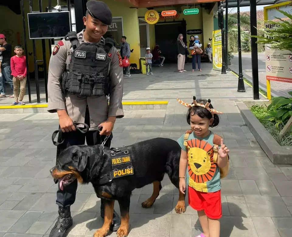 Anjing pelacak K9 milik Satuan Sabhara Polres Cimahi diajak foto pengunjung di salah satu objek wisata Lembang, Sabtu 3 Juni 2023.