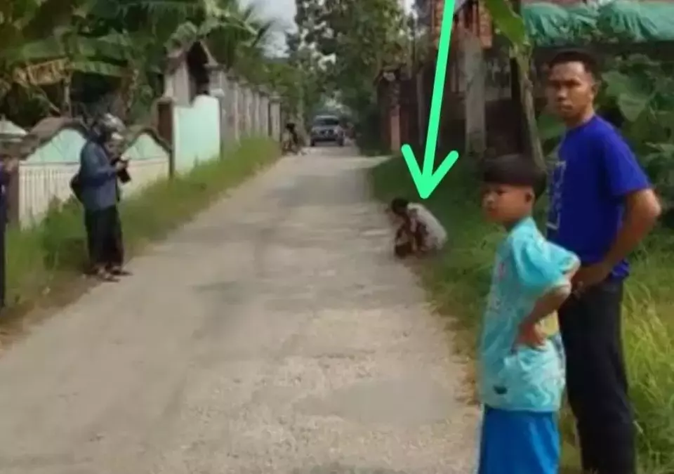 Korban carok massal yang terjadi di Desa Tanah Merah, Kecamatan Tanah Merah, Bangkalan, Jawa Timur sempat direkam oleh pria misterius di pinggir jalan. Video yang diunggahnya viral di jagat maya. Saksi di lokasi menyebut, selain membawa celurit, warga yang terlibat carok juga membawa senjata api.Â