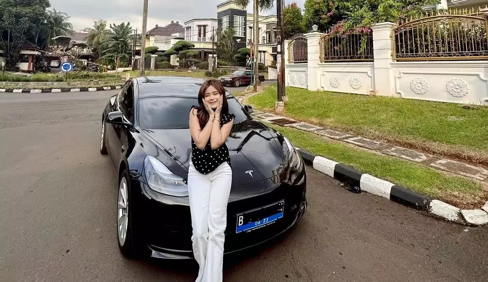 Tesla model deals 3 harga