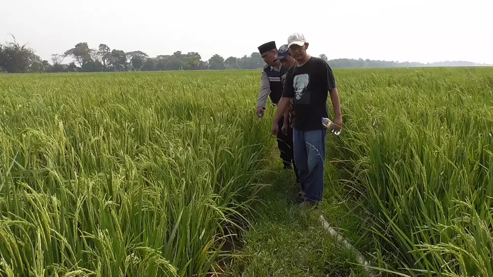 Anak Tiri Yang Dianiaya Hingga Tewas Di Tangerang Ditemukan Terbenam Di ...