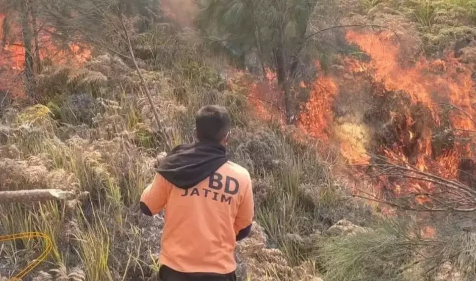 Tornado Api Muncul Di Gunung Bromo, Kebakaran Akibat Flare Prewedding ...