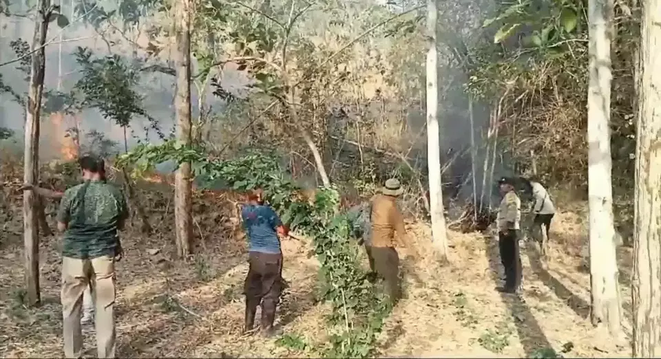 Kawasan hutan milik Perhutani di Desa Sanggrahan Kecamatan Boyolangu Kabupaten Tulungagung terbakar, Selasa(19/9/2023) sore.