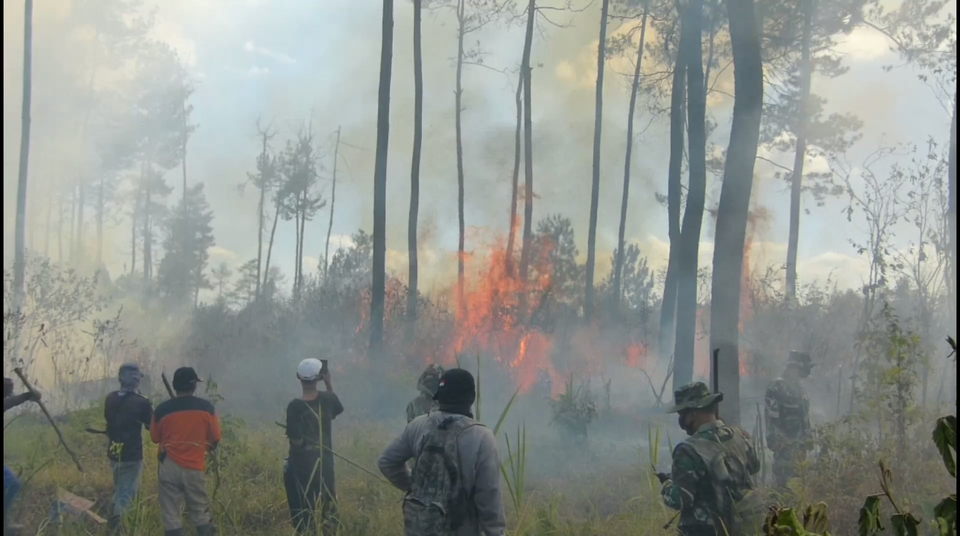 Hutan kaki Gunung Merapi tepatnya di kawasan Taman Nasional Gunung Merapi (TNGM) Kabupaten Magelang, Jawa Tengah terbakar pada Jumat, 22 September 2023.