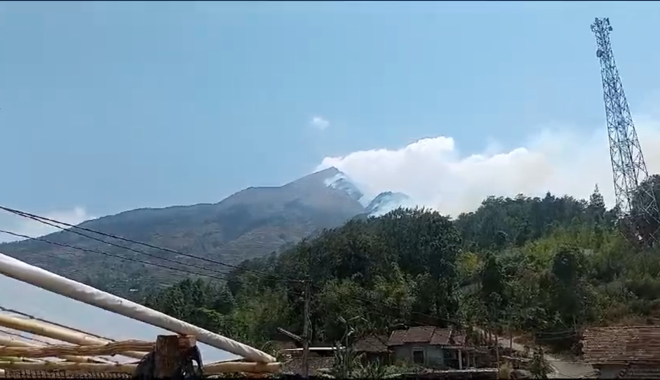 Kebakaran Gunung Merbabu, Hutan Seluas 400 Hektare Hangus