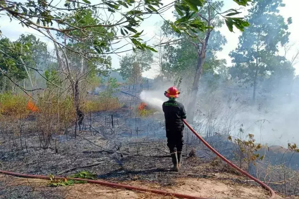 Kebakaran hutan dan lahan di Bangka Tengah, Sabtu, 28 Oktober 2023.