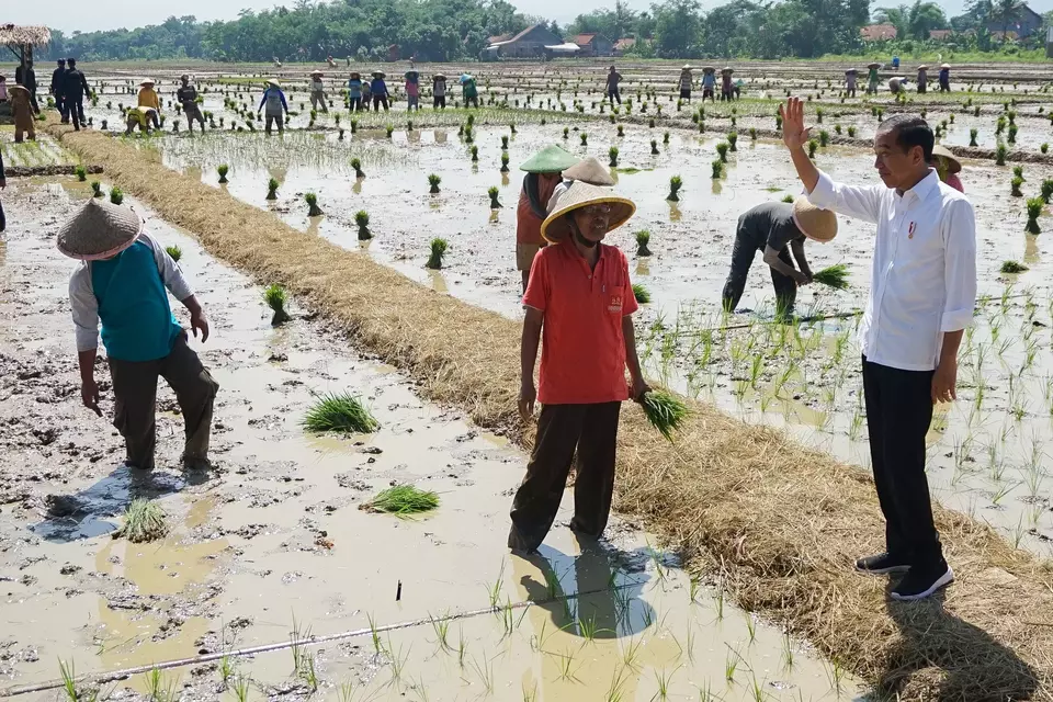 Presiden Joko Widodo berbincang dengan petani saat kunjungan kerja di area persawahan Kecamatan Kesesi, Kabupaten Pekalongan, Jawa Tengah, Rabu, 13 Desember 2023. Dalam kunjungan itu, selain meninjau petani menanam padi, Presiden Joko Widodo bersama menteri dan pemda setempat berdialog dengan petani mengenai kondisi persawahan dan pupuk pertanian di Kabupaten Pekalongan.